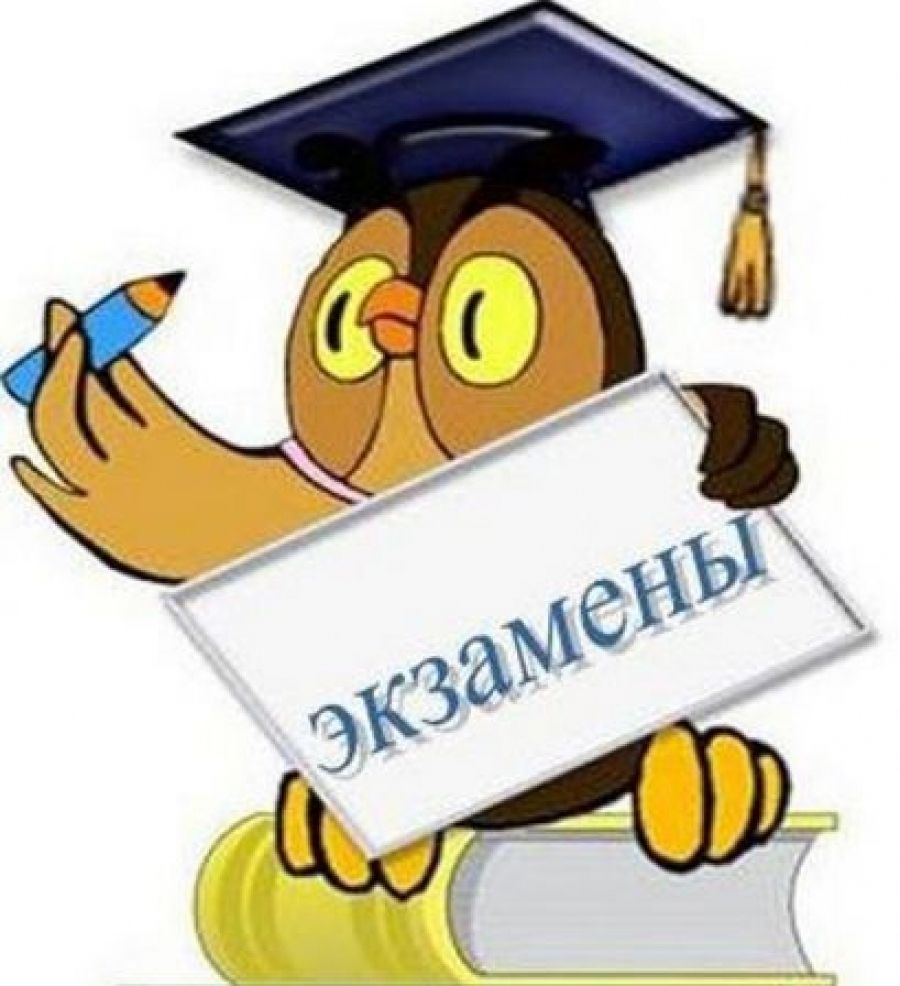 График проведения экзаменов в 2024 - 2025 учебном году.